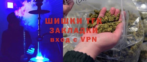 прущие грибы Балахна