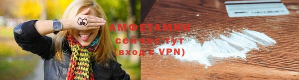 прущие грибы Балахна