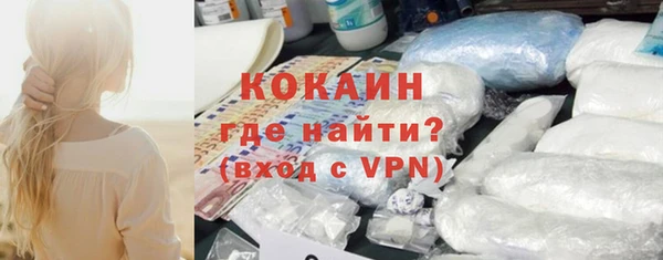 прущие грибы Балахна