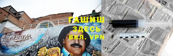прущие грибы Балахна