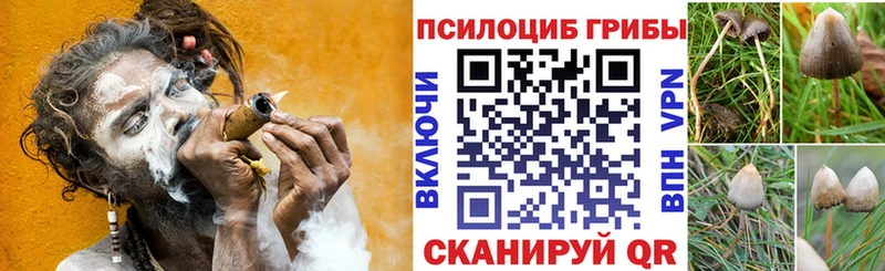 Галлюциногенные грибы мицелий  где купить наркоту  darknet как зайти  Кукмор 